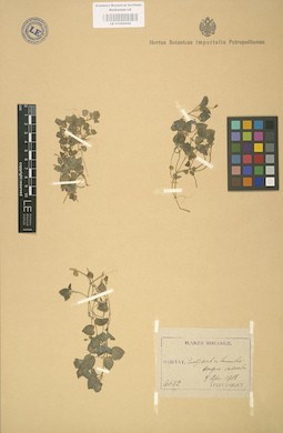 LE 01002950