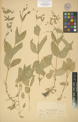 LE 01002951