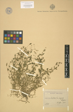 LE 01002952