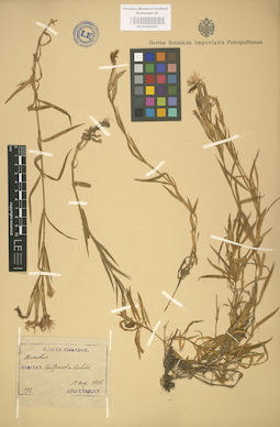 LE 01002953