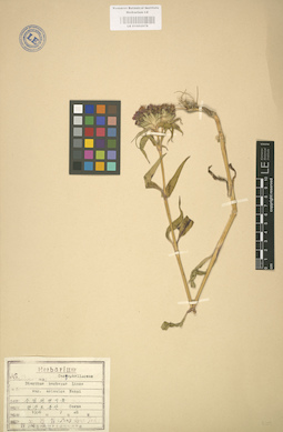 LE 01002978