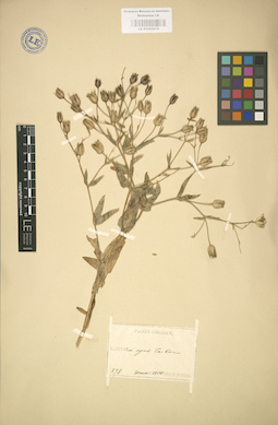 LE 01002979
