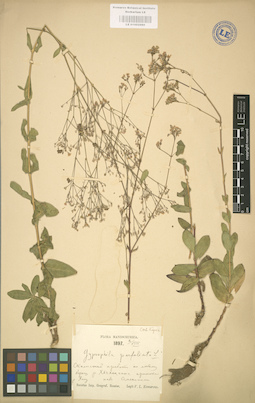 LE 01002980