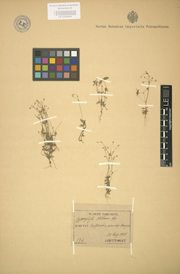 LE 01002982