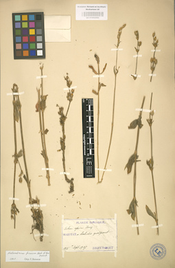 LE 01002990
