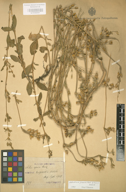LE 01002991