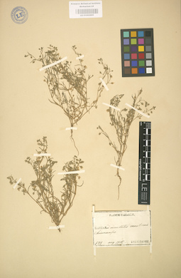 LE 01002995