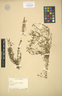 LE 01002996