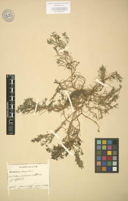 LE 01002997