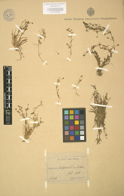 LE 01002998