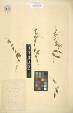 LE 01003002