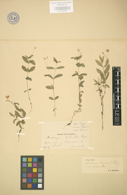 LE 01003003
