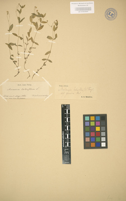 LE 01003004