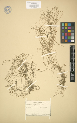 LE 01003005