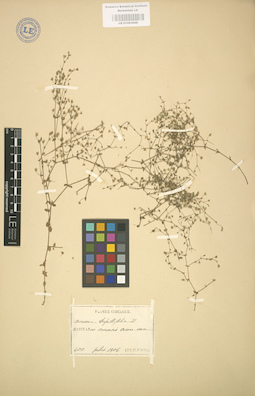 LE 01003006