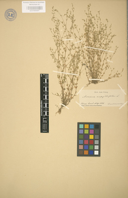 LE 01003007