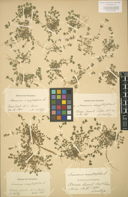 LE 01003008