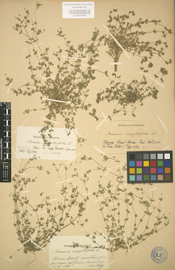 LE 01003009