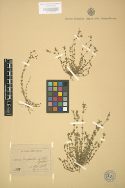 LE 01003010