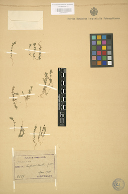 LE 01003011