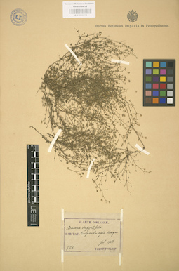 LE 01003012