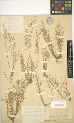 LE 01003013