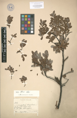 LE 01003019