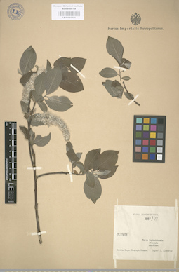 LE 01003021