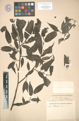 LE 01003024