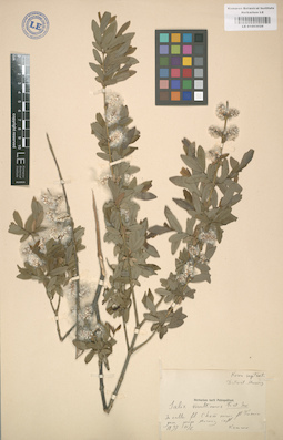 LE 01003026