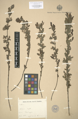 LE 01003027
