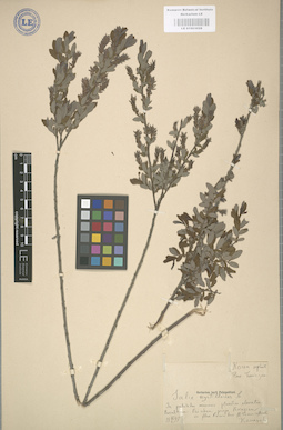 LE 01003028