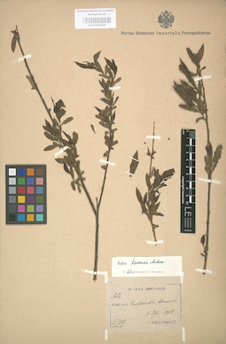 LE 01003029