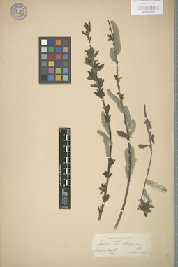 LE 01003045