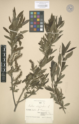 LE 01003047