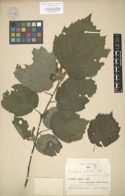 LE 01003048
