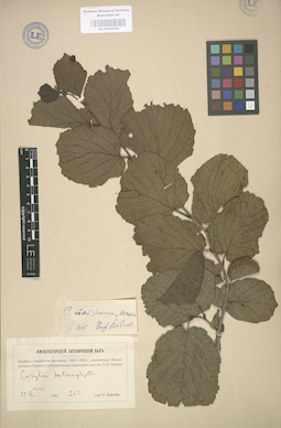 LE 01003050