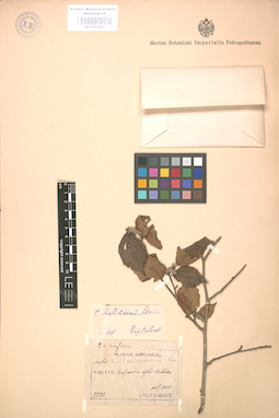 LE 01003051