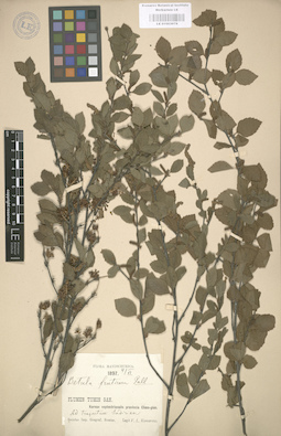 LE 01003078