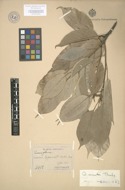 LE 01003083