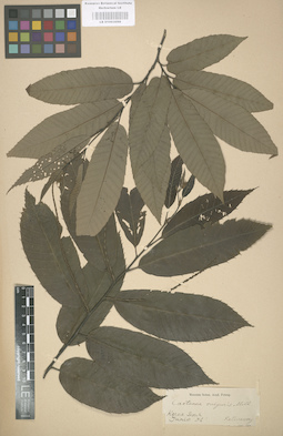 LE 01003098