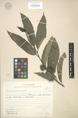 LE 01003112