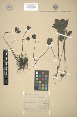 LE 01003137