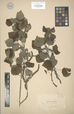 LE 01003140