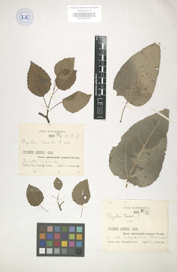 LE 01003141