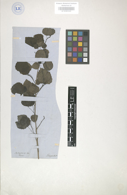 LE 01003142