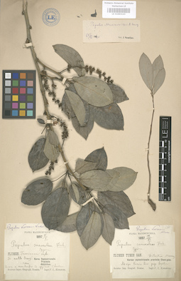 LE 01003143