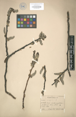 LE 01003156