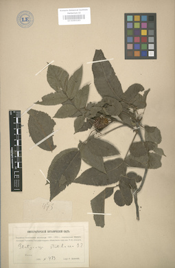 LE 01003163