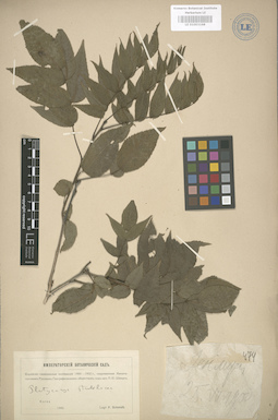 LE 01003168